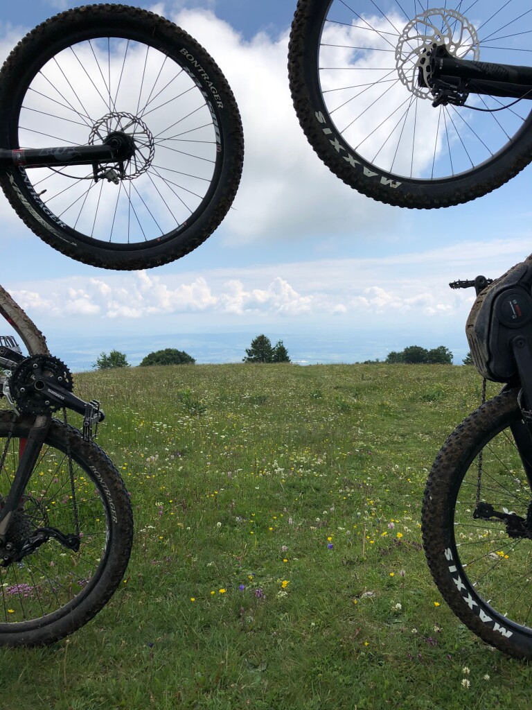 Mont Sujet Bikes